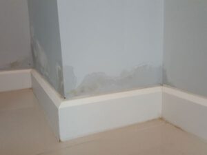 rising damp solutions