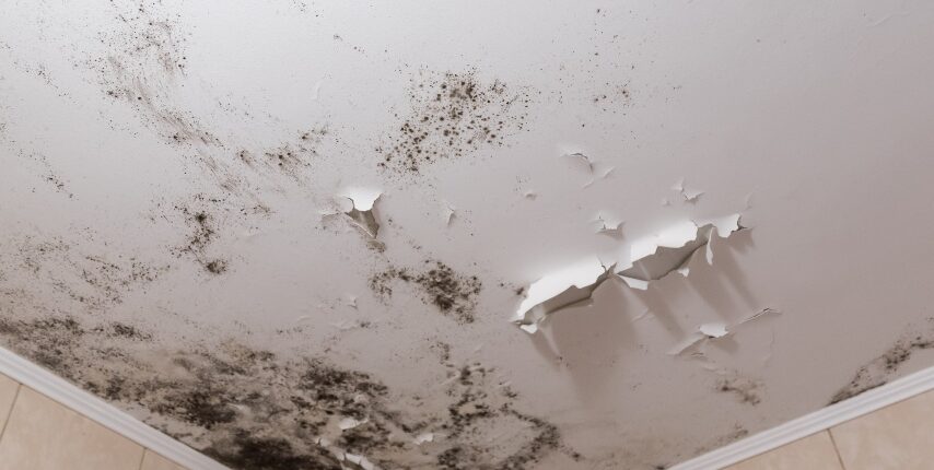 Peeling Paint Damp Damage