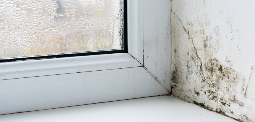 Window condensation and damp wall damage