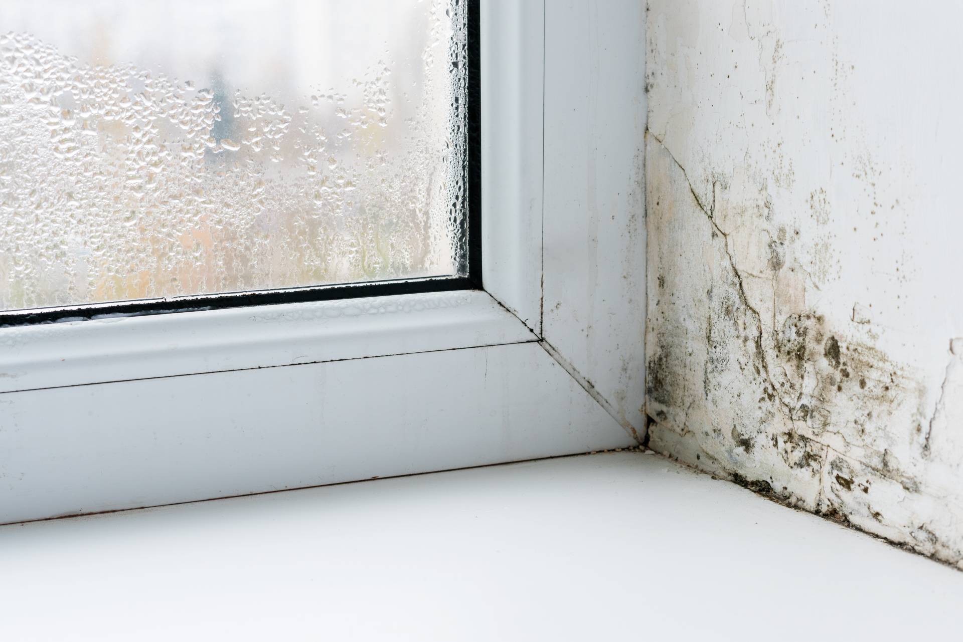 Window condensation and damp wall damage
