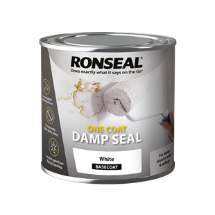 Ronseal Anti-Damp Paint