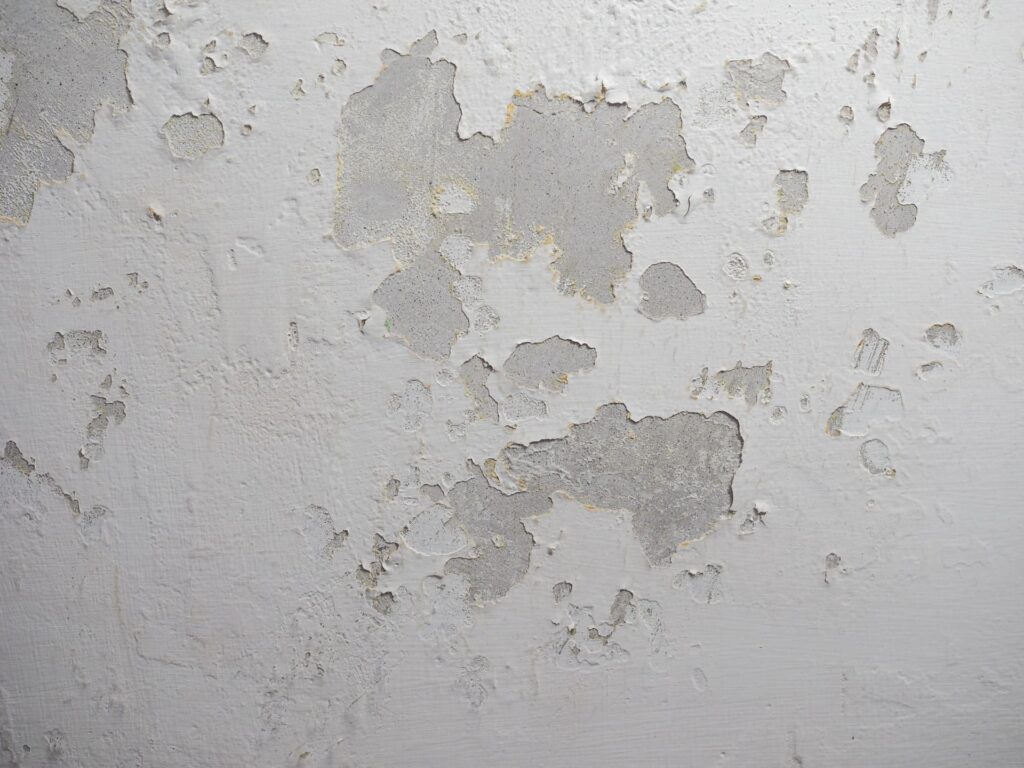 penetrating damp treatment services london