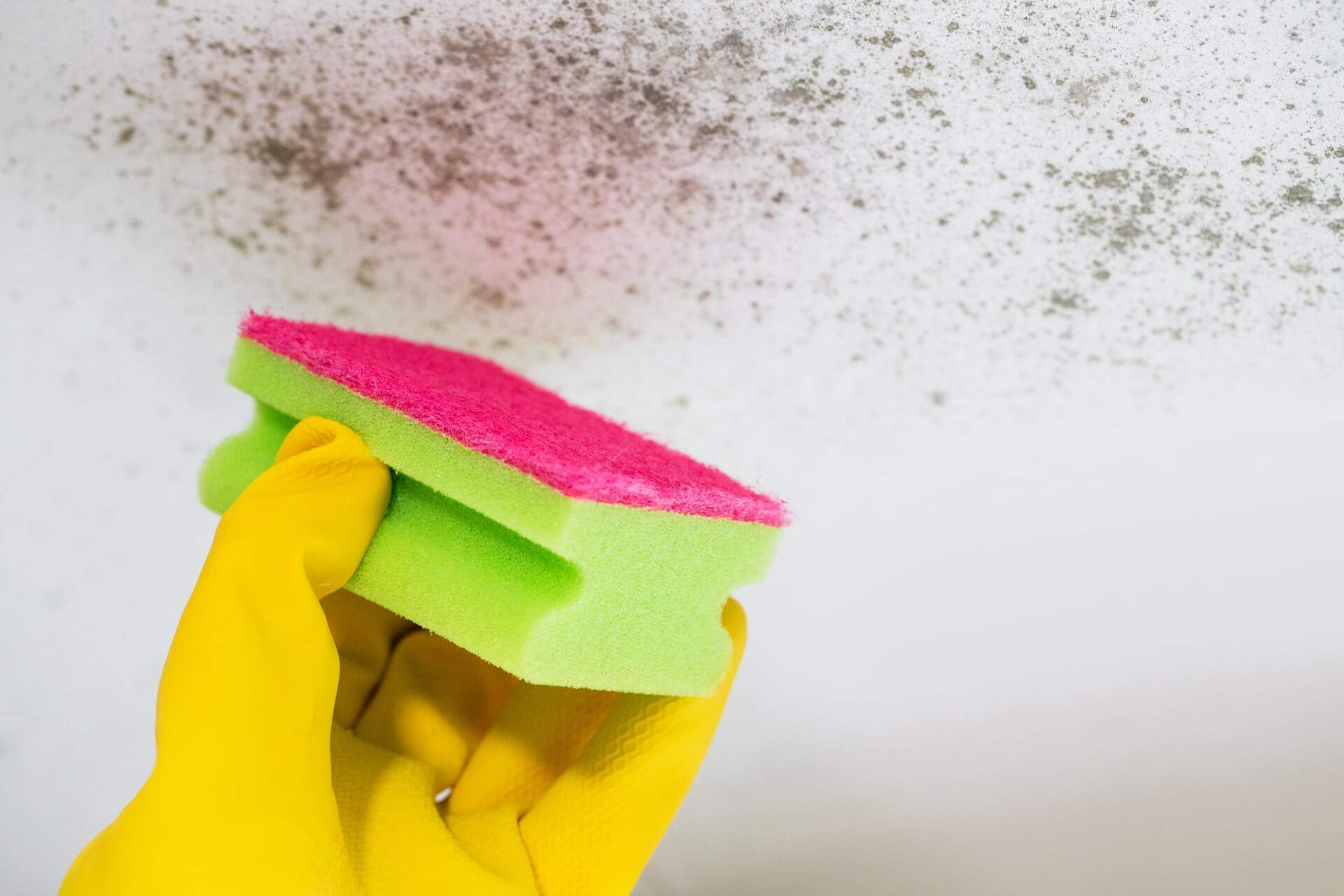 Why Mould Grows on Bathroom Ceilings