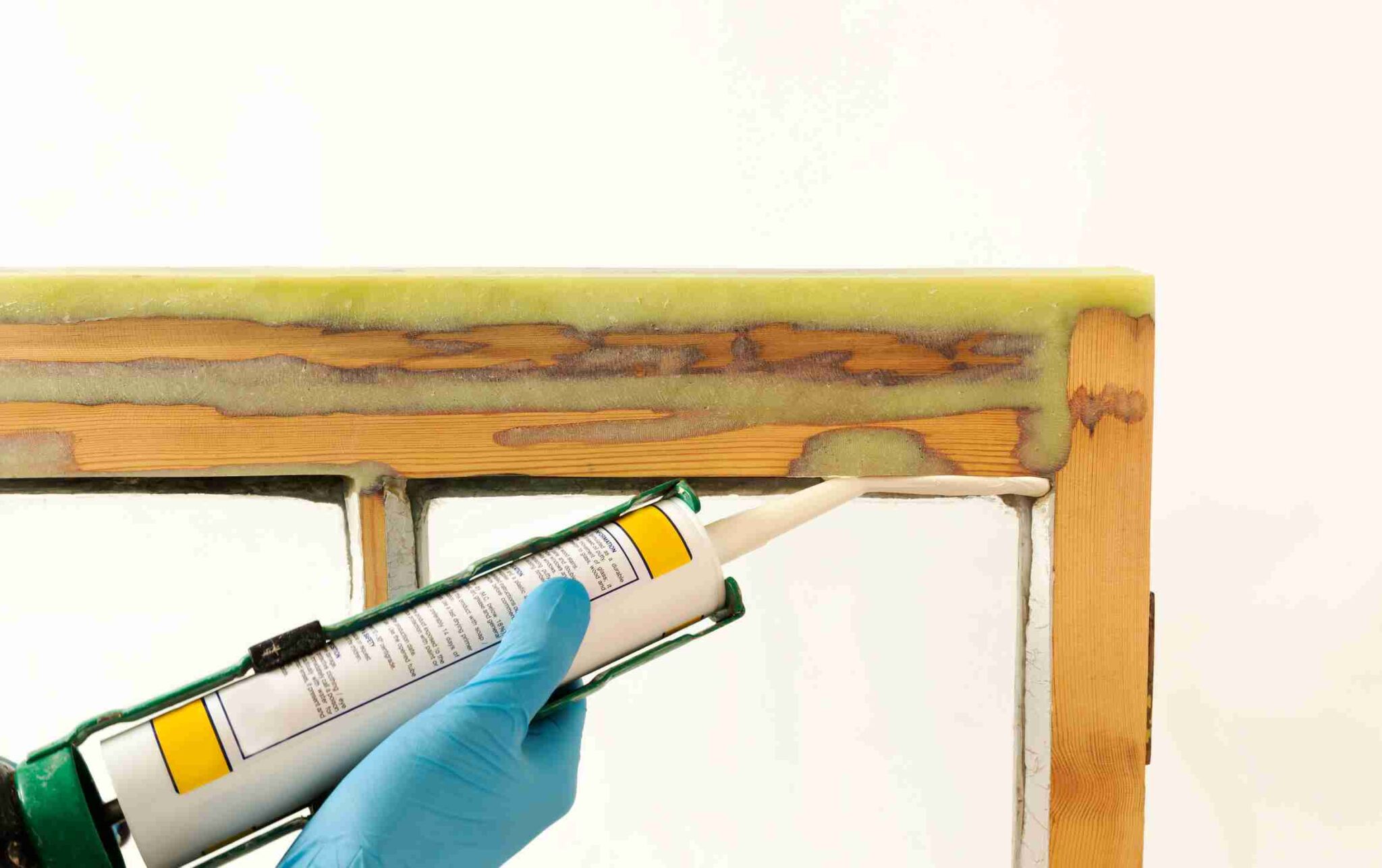 dry rot repair in London
